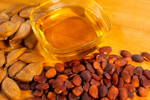 தோல் மற்றும் முடி பராமரிப்புக்கான கரஞ்சா எண்ணெயின் நன்மைகளைத் திறக்கவும்