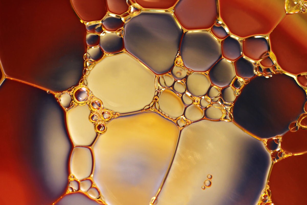 What makes Water-Oil Balance the Basis of Good Skin?