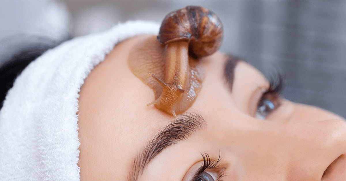 Snail Mucin - the Miracle Ingredient of Korean Beauty